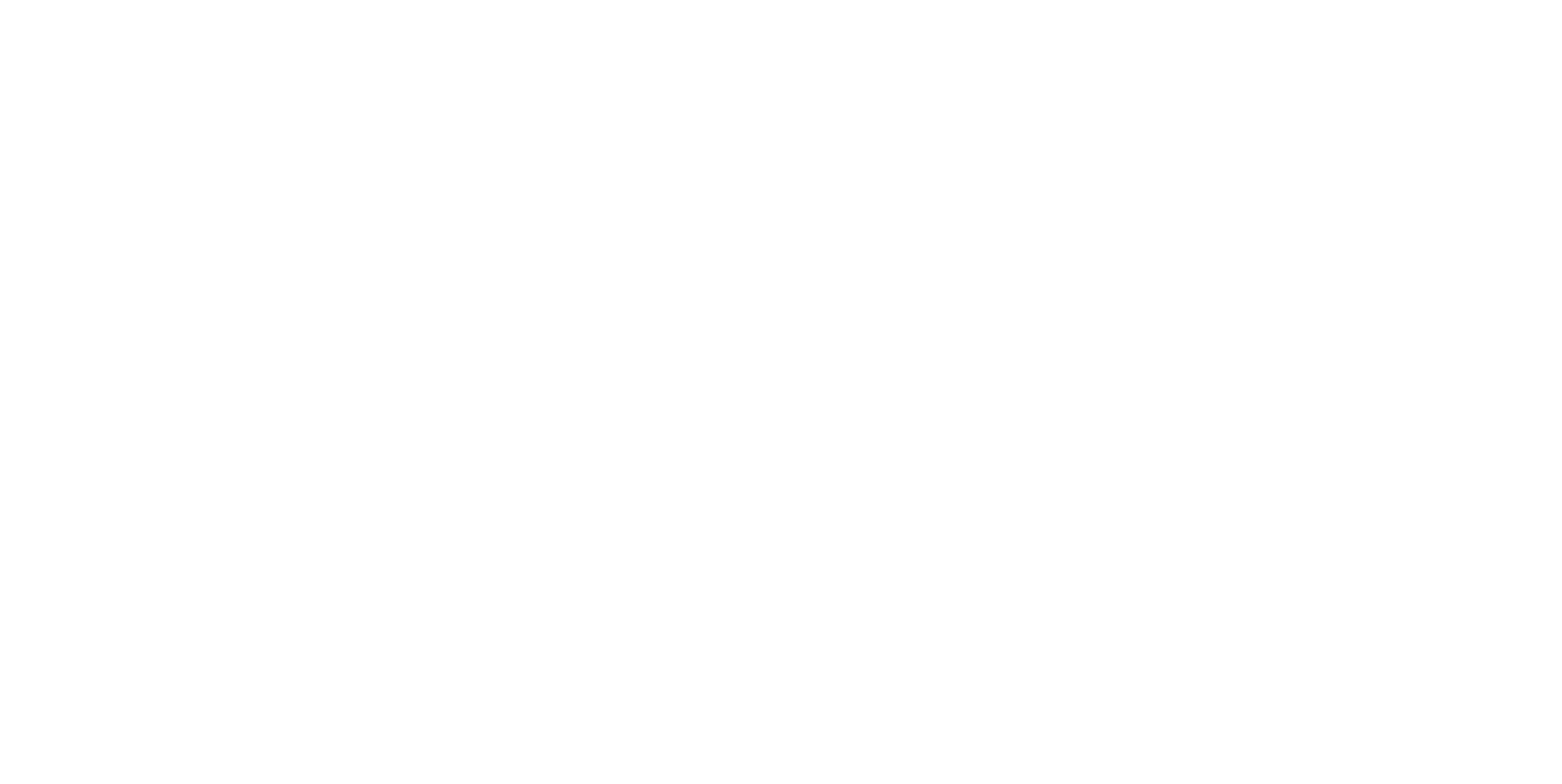 Widmann Horizon